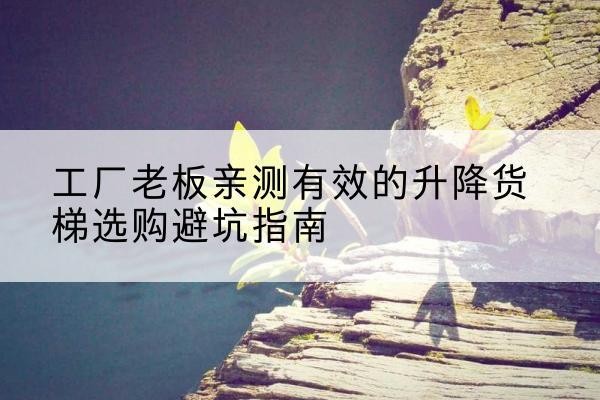 象山升降货梯怎么选-工厂老板亲测有效的升降货梯选购避坑指南